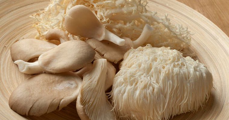 火鍋配角變長壽藥！每天一把「平民神菇」癌症風險降34%