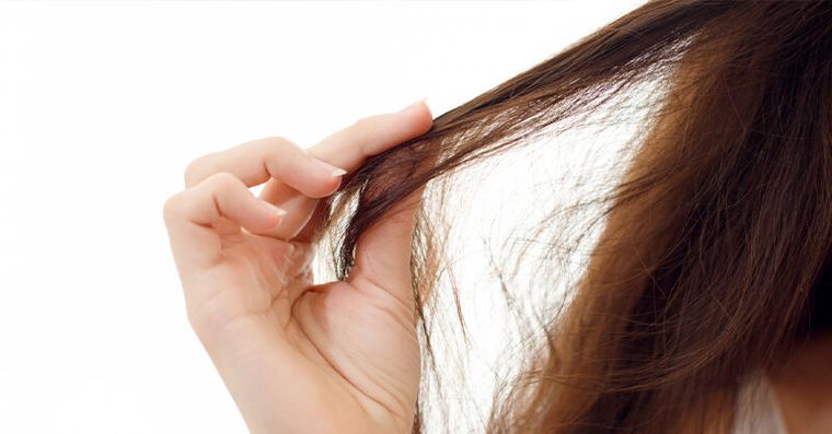 頭髮突變捲粗糙別亂拔！當心是甲狀腺異常，快補「4大生髮營養」