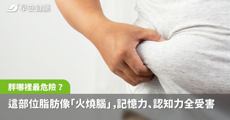 胖在哪裡最危險？醫揭這部位脂肪像「火燒腦」，記憶力、認知力全受害