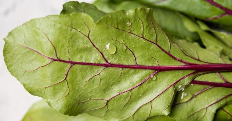 愈吃骨頭愈空虛？專家揭高草酸「偷鈣青菜」前三名，菠菜只排第4