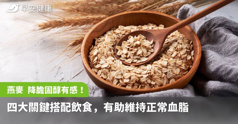 燕麥 降膽固醇有感！四大關鍵搭配飲食，有助維持正常血脂