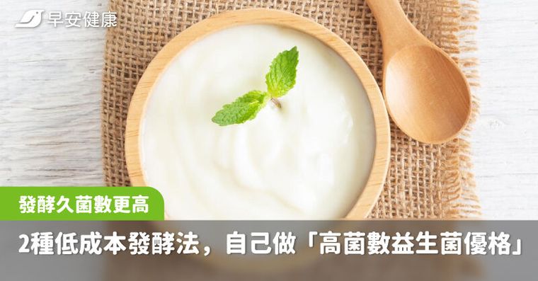 花錢買不如自己做！2種低成本發酵法，教你自製「高菌數益生菌優格」
