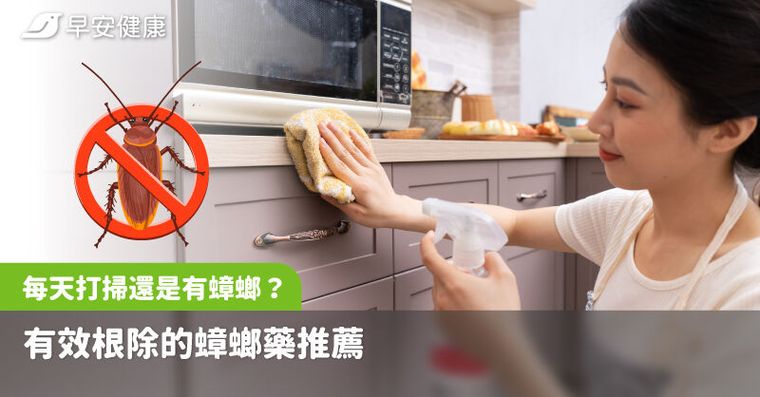 每天打掃還是有蟑螂？有效根除的蟑螂藥推薦