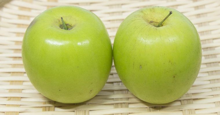 棗子品種6款一次看懂！棗子營養有哪些？清脆香甜怎麼挑？