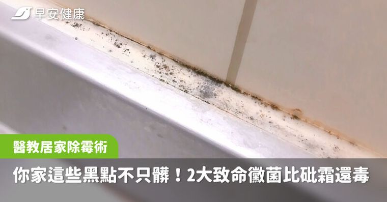 致癌害失智！譚敦慈揭2大致命黴菌比砒霜還毒，居家PRO級除霉祕招曝