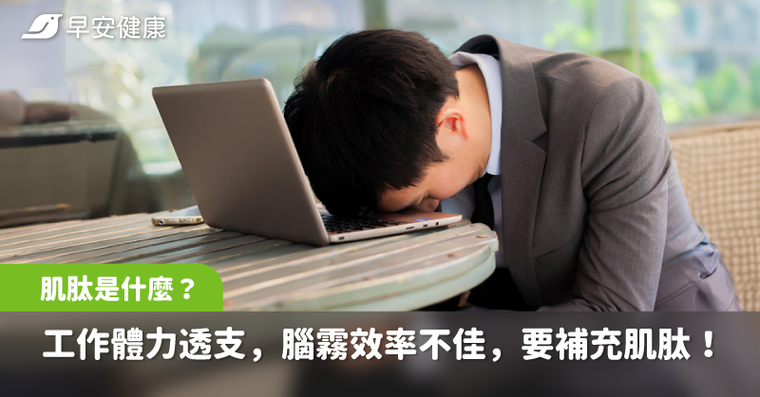 「肌肽」是什麼？肌肽功效好處多，常常工作體力透支，腦霧效率不佳，要注意補充肌肽！