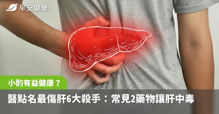 別再信小酌有益健康！醫點名最傷肝6大殺手：常見2藥物讓肝中毒