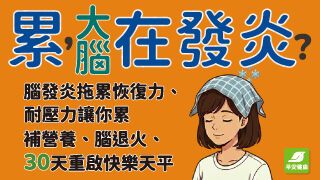 新刊搶先看！《累，大腦在發炎?》