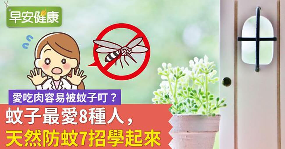 愛吃肉容易被蚊子叮？蚊子最愛8種人，天然防蚊7招學起來