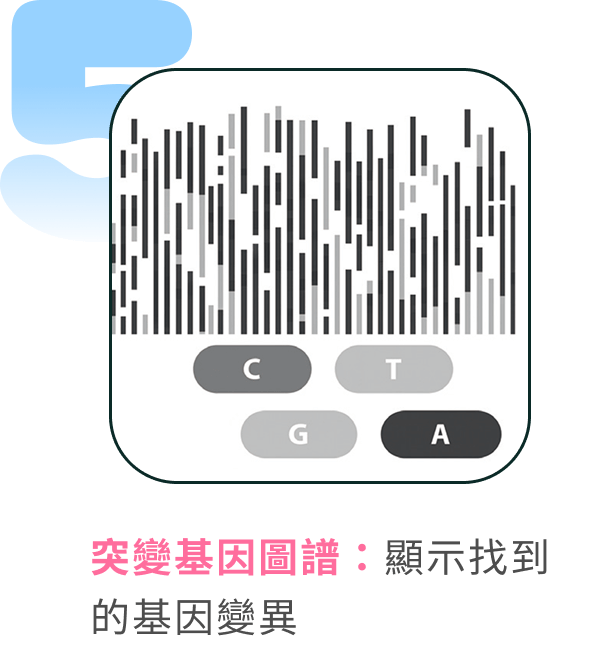 突變基因圖譜:顯示找到的基因變異